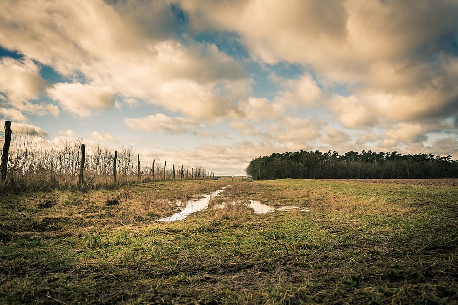 landscape, clouds, view, away, trees, light orange, atmosphere HD wallpaper