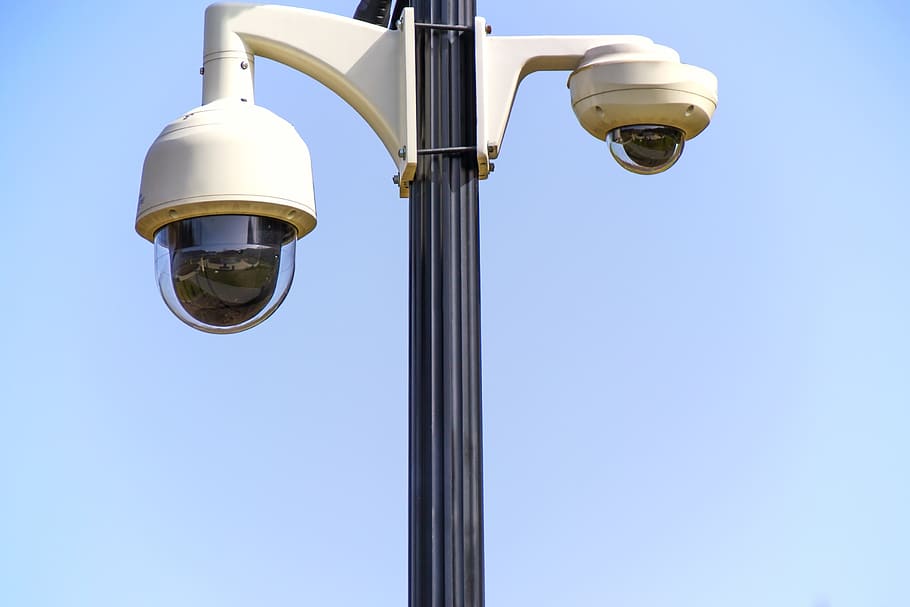 two white dome pole security cameras, rotary camera, monitoring
