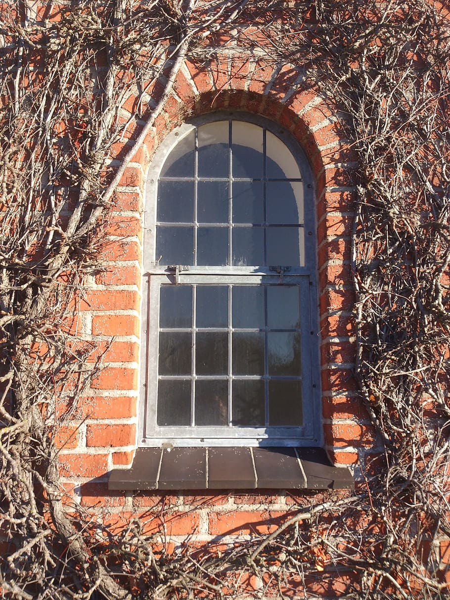 Window, Framed, Brick, Winter, Twigs, winter twigs, home, design HD wallpaper