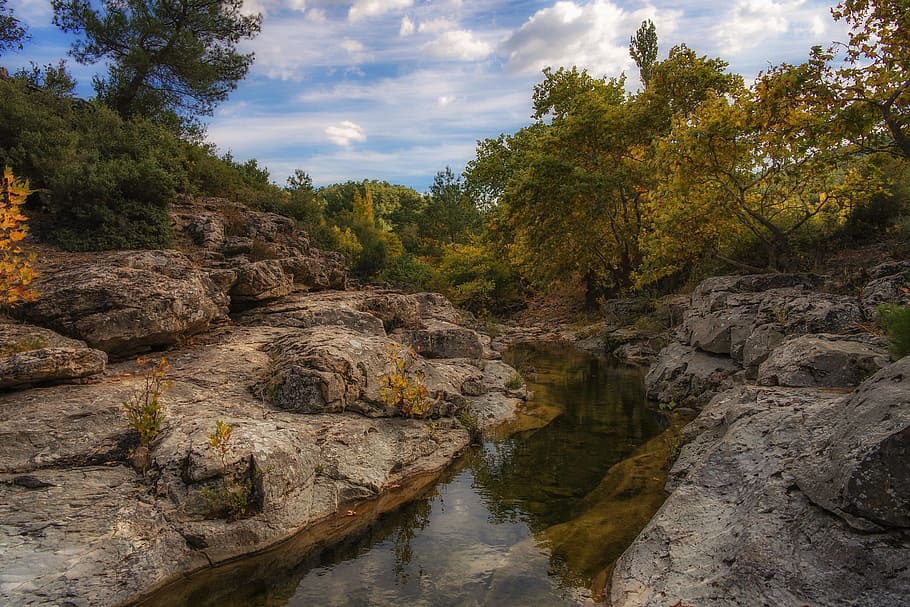 nature, peace, water, tree, flowing water, landscape nature HD wallpaper