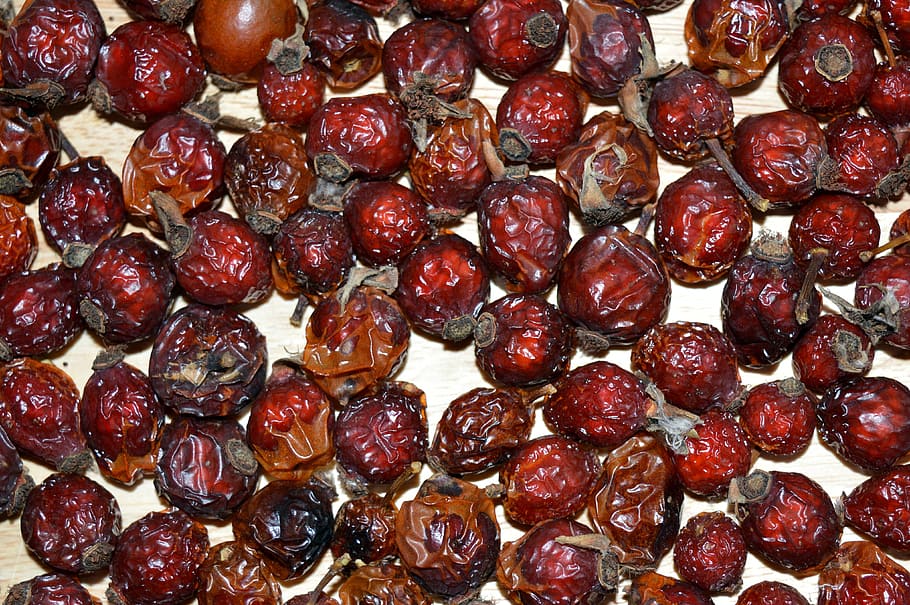 berry, natural medicine, organic, vitamins, dried berries, nutrition, HD wallpaper