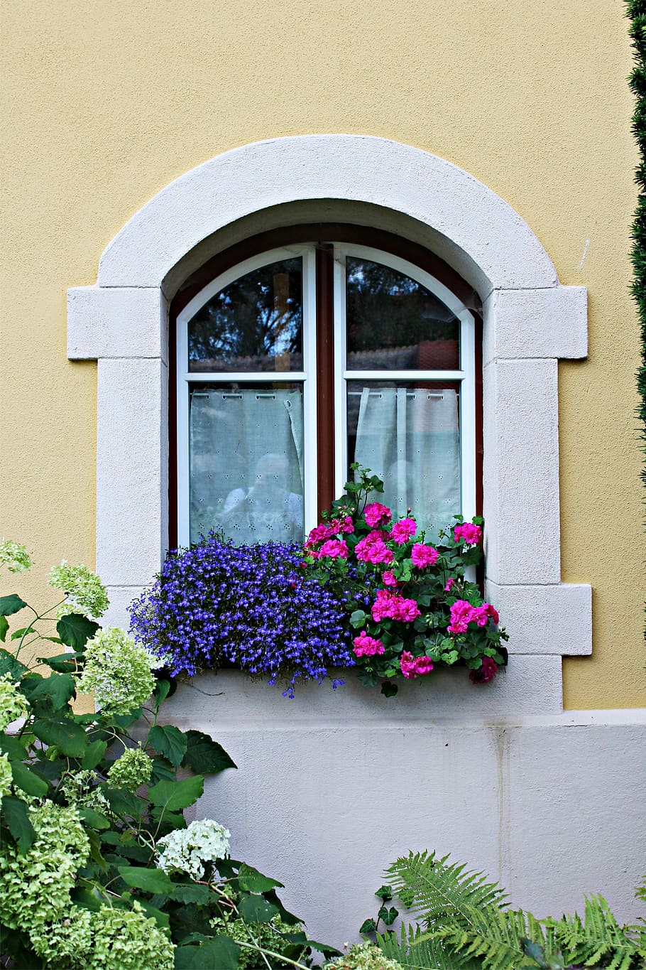 Facade, Window, Architecture, Old, flower, blütenmeer, plant HD wallpaper