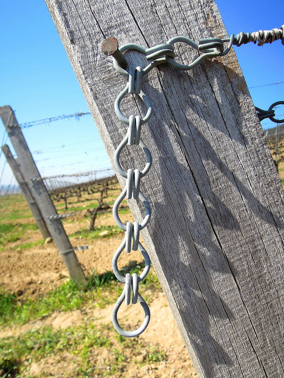 vineyard, wire, wire tensioning, chain, metal, hanging, day HD wallpaper