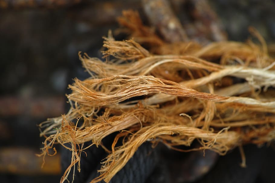 rope, texture, macro, detail, background, detail shots, abstract HD wallpaper