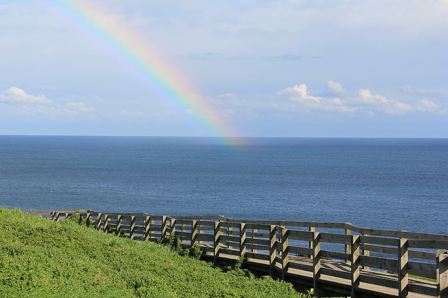 rainbow, grass, green, summer, sky, spring, meadow, nature HD wallpaper