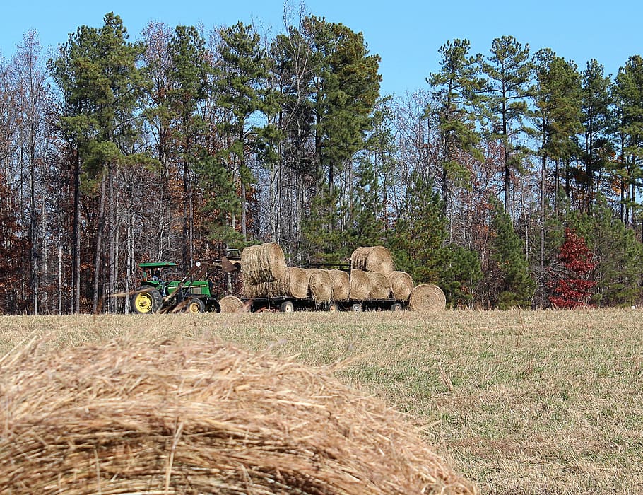 Farming, Hay, Wagon, Tractor, making hay, hay wagon, hay field HD wallpaper
