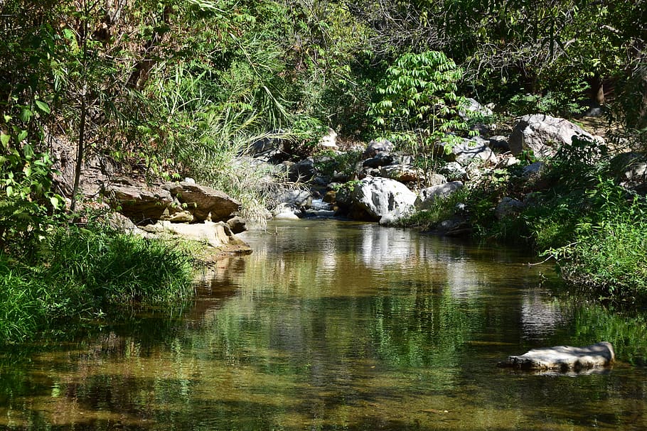 River, Creek, brook, reflection, nature, no people, plant, outdoors HD wallpaper