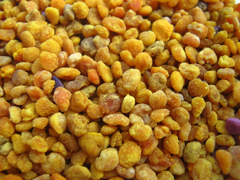 pollen, yellow, pollen balls, food, dry, backgrounds, snack HD wallpaper
