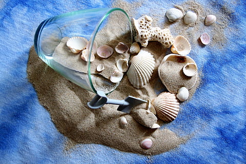 memory, desire, dream, summer, shells, holiday, nature, color HD wallpaper