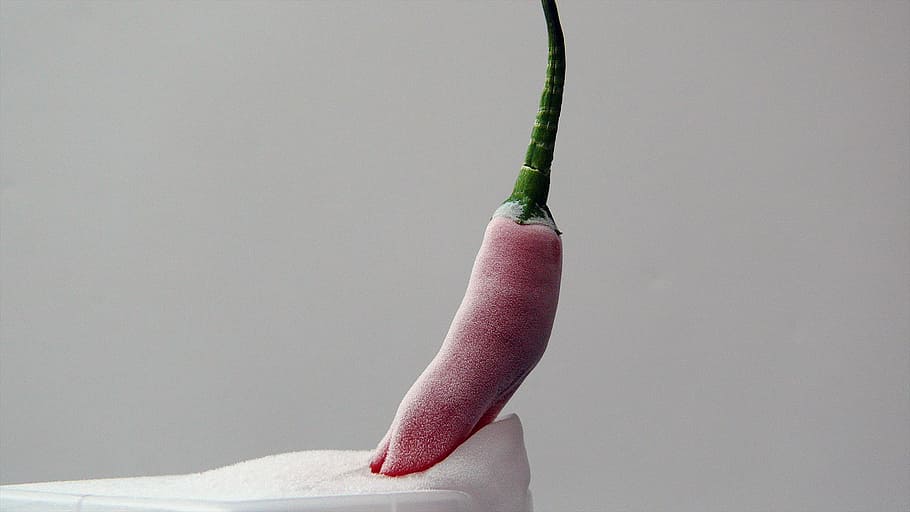 Appetizing, Berry, Delicate, Delicious, ice, strawberry, strawberry in the ice HD wallpaper