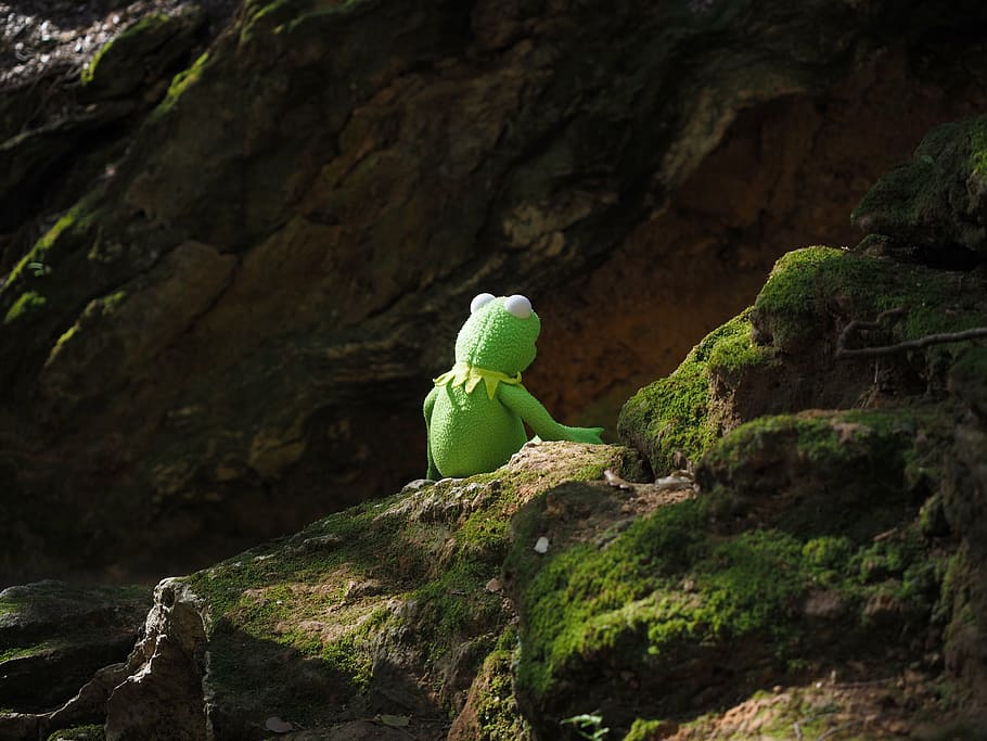 kermit, frog, green, rest, break, nature, mountain, outdoors HD wallpaper