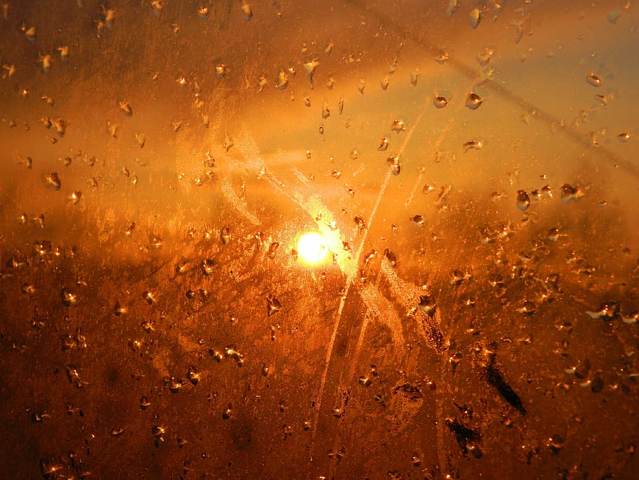 sunset, drops, evening, nature, wet, backgrounds, yellow, water HD wallpaper