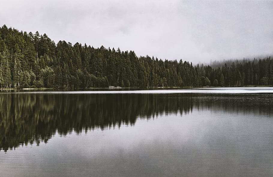 landscape, nature, sky, water, clouds, conifer, daylight, environment HD wallpaper
