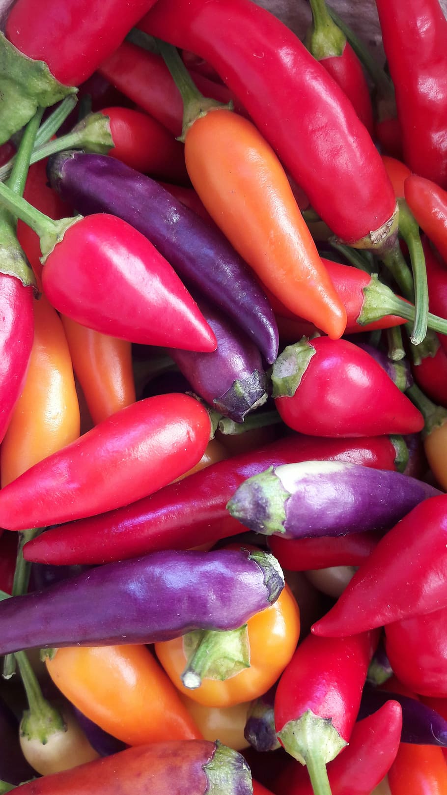 Vegetables, Food, Chilli, Summer, red, sharp, food and drink HD wallpaper