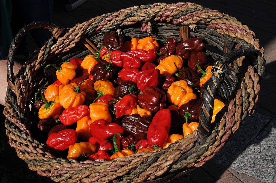 peppers, chilis, chili peppers, cooking, spicy, food, ingredient, HD wallpaper