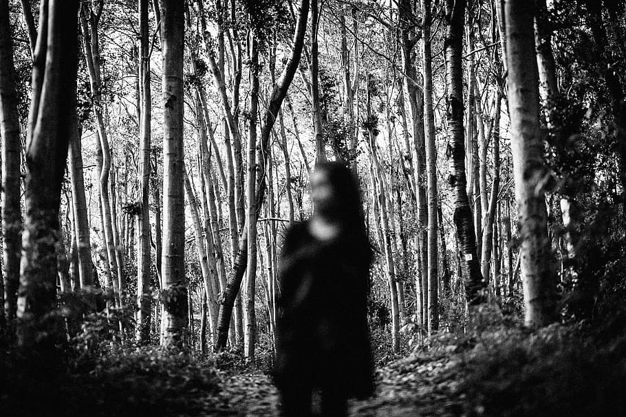 person wearing dress standing near trees grayscale photo, forest HD wallpaper