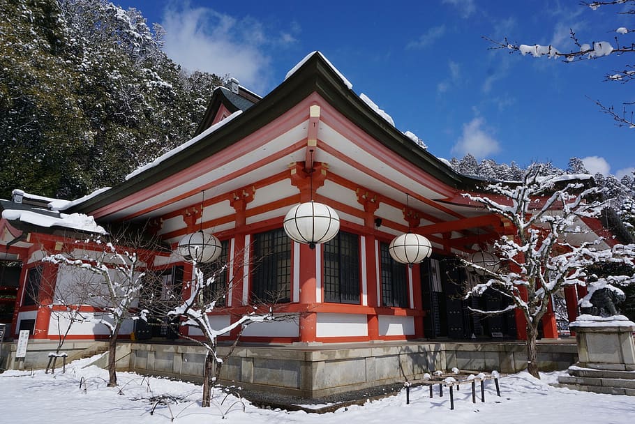 japan, kyoto, side horse, kurama temple, snow, sunny days, cold temperature, HD wallpaper