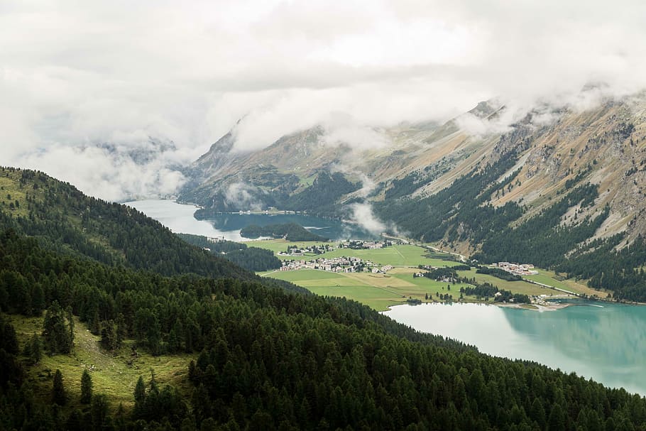 forest top view during daytime, body of water between pine trees and mountains during daytime HD wallpaper