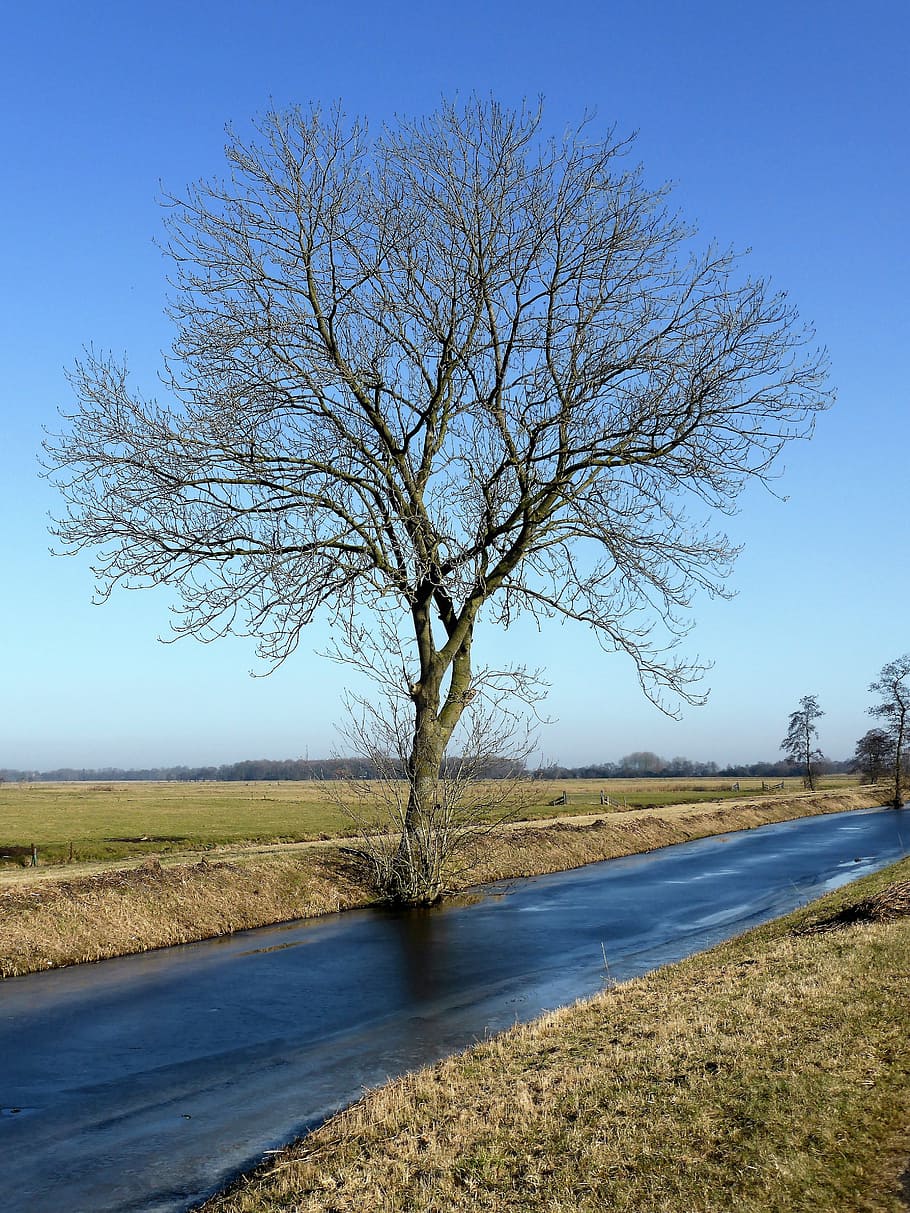 landscape, winter, ice, ditch, dutch landscape, sun, cold, nature HD wallpaper