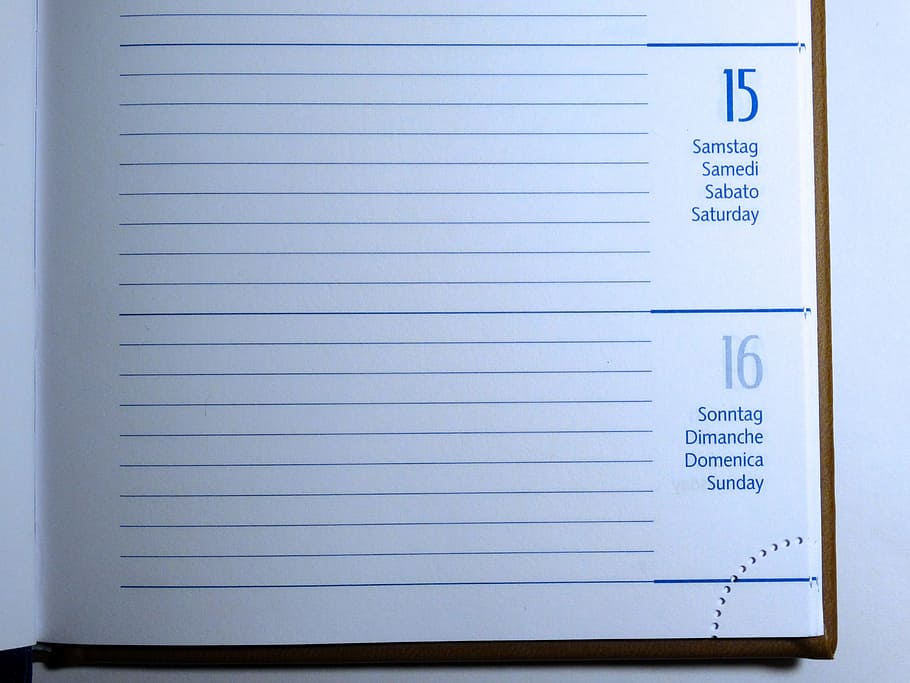 notebook, office, writing, school, agenda, blank, business, calendar, HD wallpaper