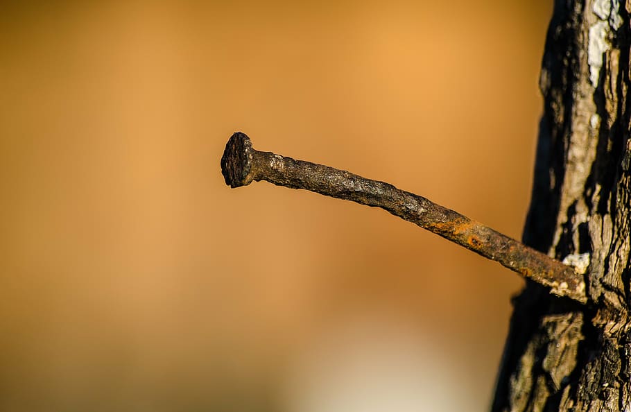 nail, rust, old, wood, iron, steel, vintage, rusted, antique HD wallpaper
