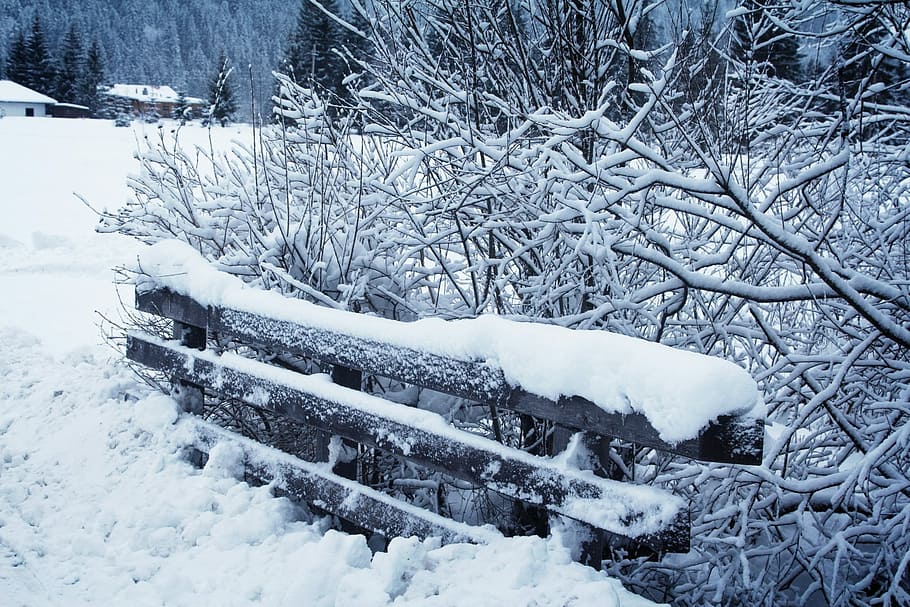 Winter, Snow, White, Wintry, Cold, landscape, winter cold, snow magic HD wallpaper