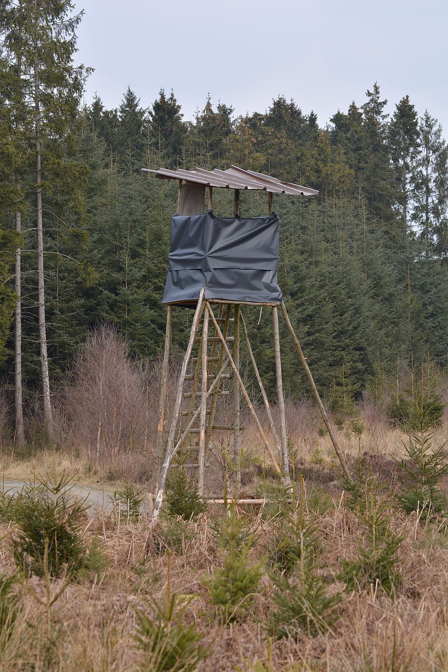 Forest, Landscape, Hut, Observation Post, nature, trees, view HD wallpaper