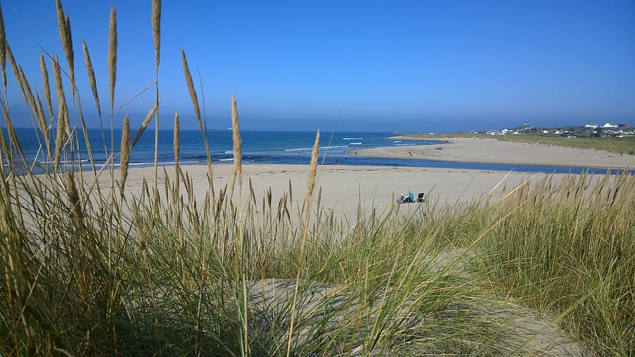 beach, sand, water, sea, land, sky, grass, plant, beauty in nature HD wallpaper