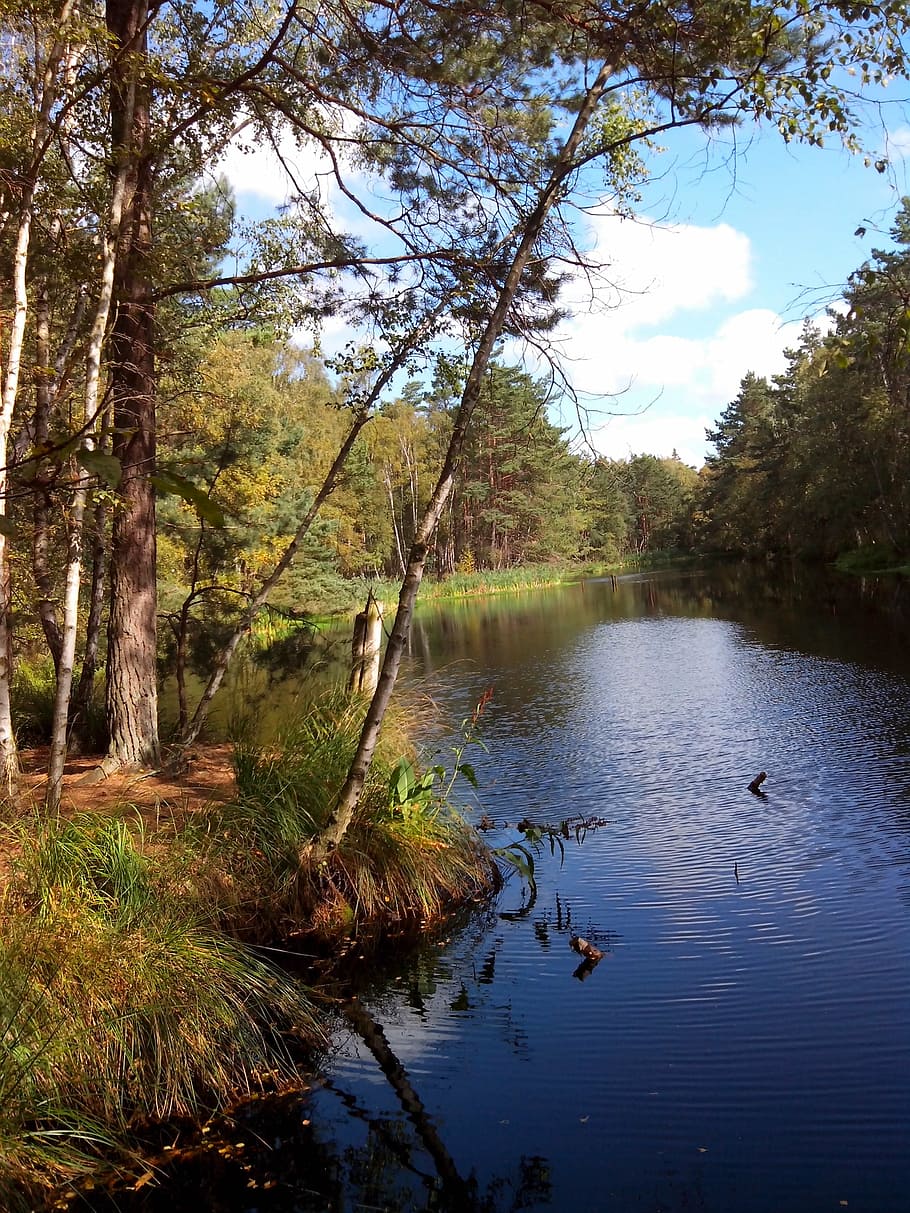 lake, moor, moorland, landscape, mood, mecklenburg western pomerania, HD wallpaper