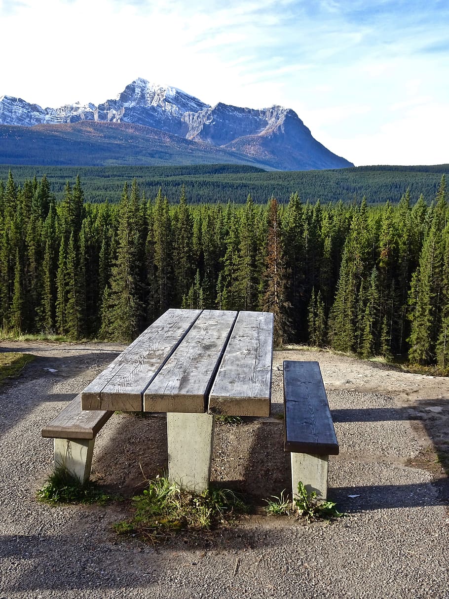 Bench, Mountains, Perspective, Forest, landscape, outdoor, mountain range HD wallpaper