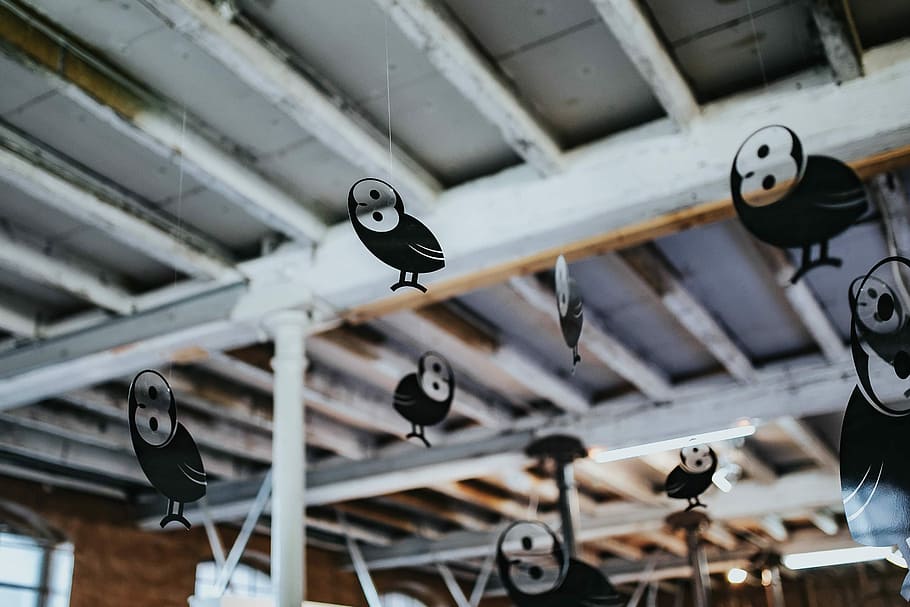 Little black plastic owls hanging from a ceiling, birds, full frame