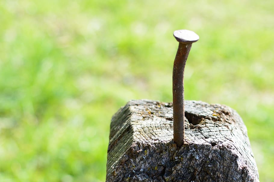 brown nail on wood, Work, Old, Works, Tinker, hammer, tool HD wallpaper