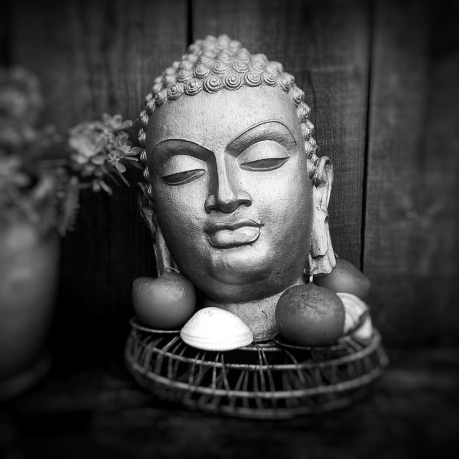 buddha, shell, zen, art and craft, sculpture, human representation HD wallpaper