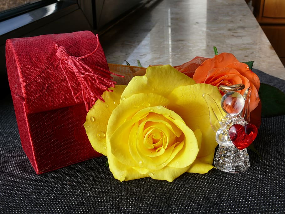 rose, loop, blossom, bloom, roses, flowers, yellow, nature HD wallpaper