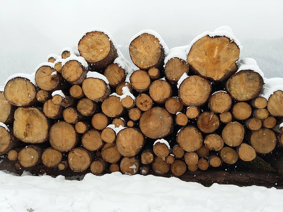 wood, winter, log, snow, cold, firewood, sawn, pile of wood, HD wallpaper