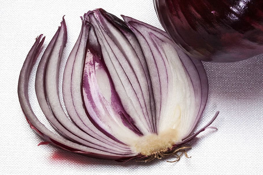 onion, allium cepa, red onion, sliced, sulfide containing, essential oils, HD wallpaper