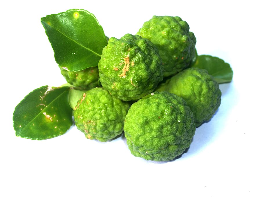 bergamot, fruit, leaf, isolated, thailand, rough, lemon, natural HD wallpaper