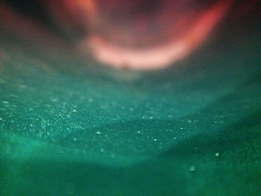 closeup photo of green surface, macro, red, blue, abstract HD wallpaper