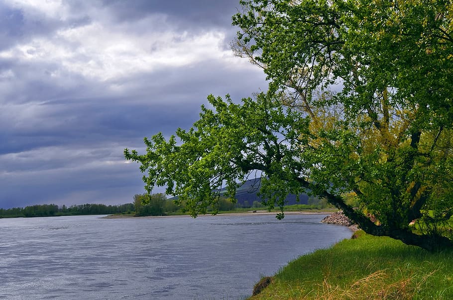 river, landscape, storm, clouds, sky, grass, tree, leaves, twigs HD wallpaper