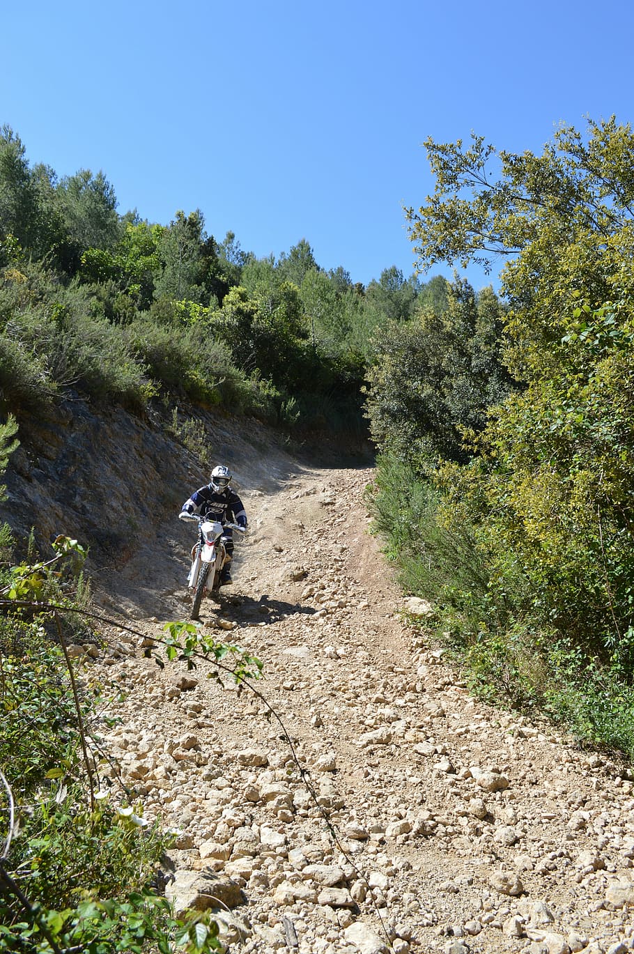 moto, biker, mountain, plant, tree, nature, day, sunlight, growth HD wallpaper