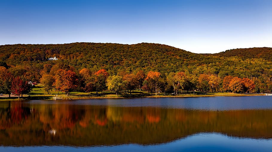 body of water, squantz pond, lake, reflections, autumn, fall HD wallpaper