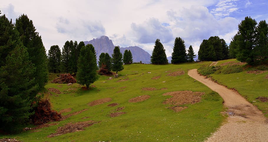 mountain, prato, dolomites, green, clouds, sky, clear, trees HD wallpaper