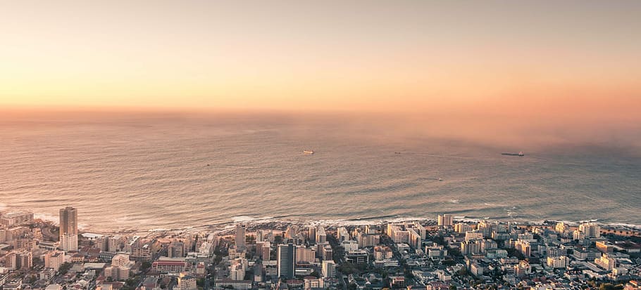 aerial view of high rise building near the body of water, cityscape HD wallpaper