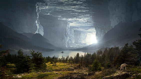 green forest tree during daytime, fantasy, cave, mystical, rock HD wallpaper