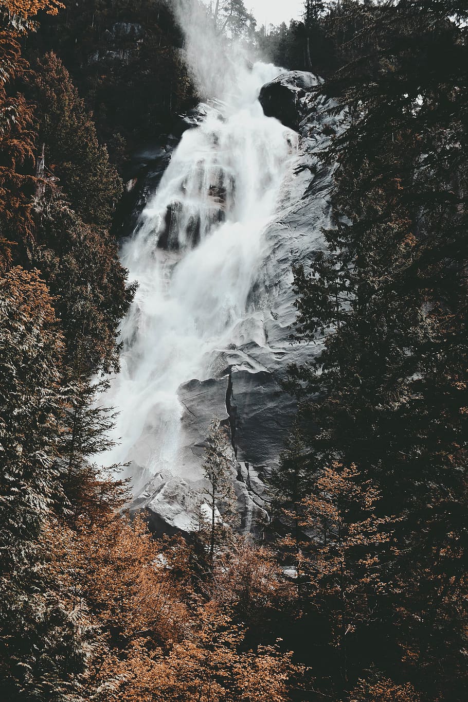 waterfalls, waterfall at daytime, tree, wilderness, rock, nature HD wallpaper