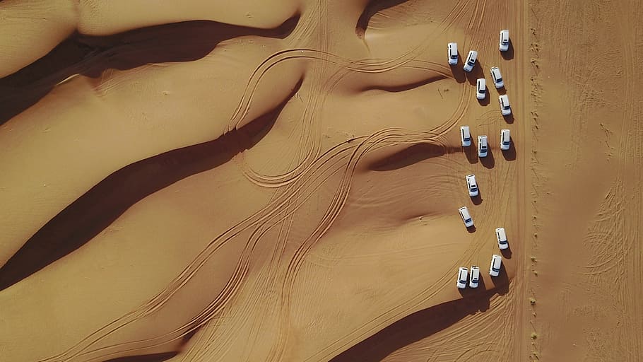 Team, Safari, Desert, water, no people, close-up, day, outdoors HD wallpaper