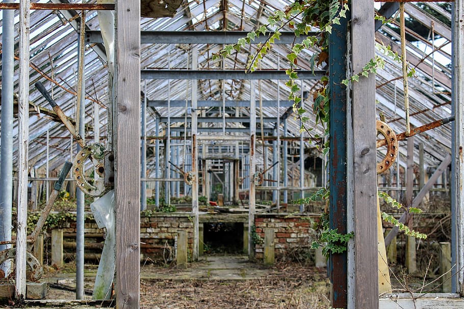 garden room photgraph, gray and white greenhouse framed taken at daytime HD wallpaper