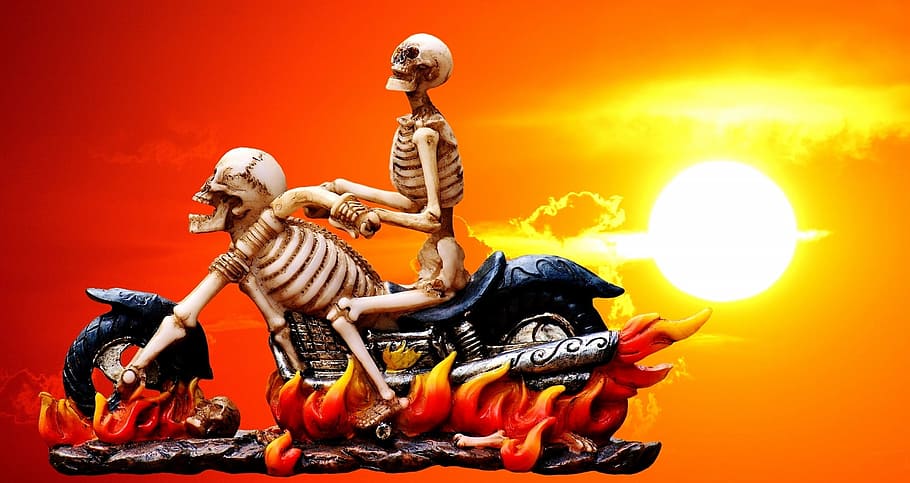 2048x768px | free download | HD wallpaper: skull riding motorcycle, biker,  skeleton, creepy, weird, decoration | Wallpaper Flare