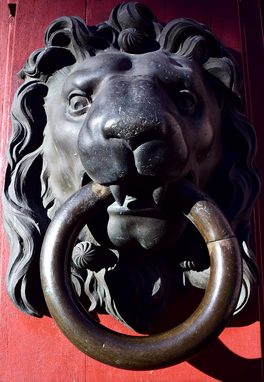 thumper, lion head, doorknocker, input, old, metal, handle HD wallpaper