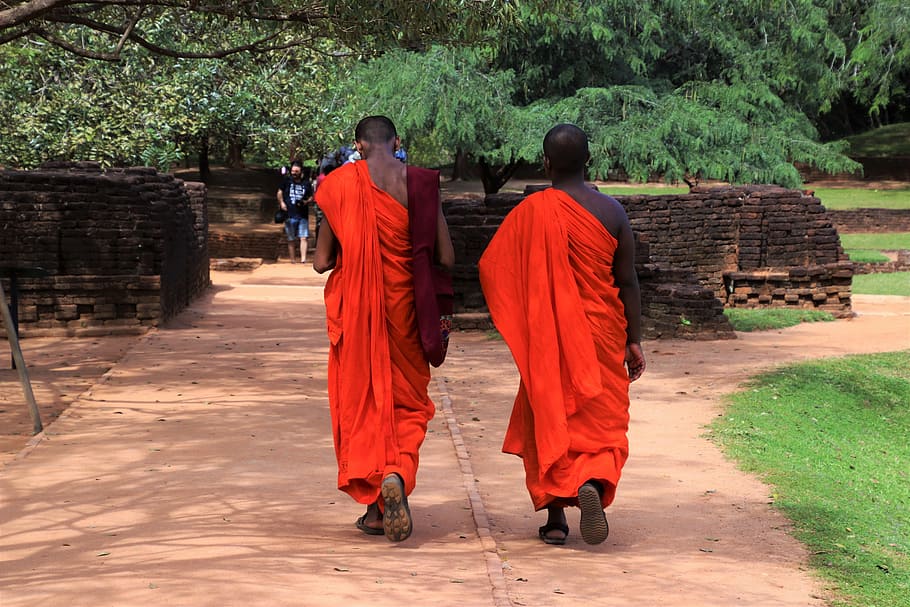 monk, buddhist, people, order, adult, religion, male, orange HD wallpaper
